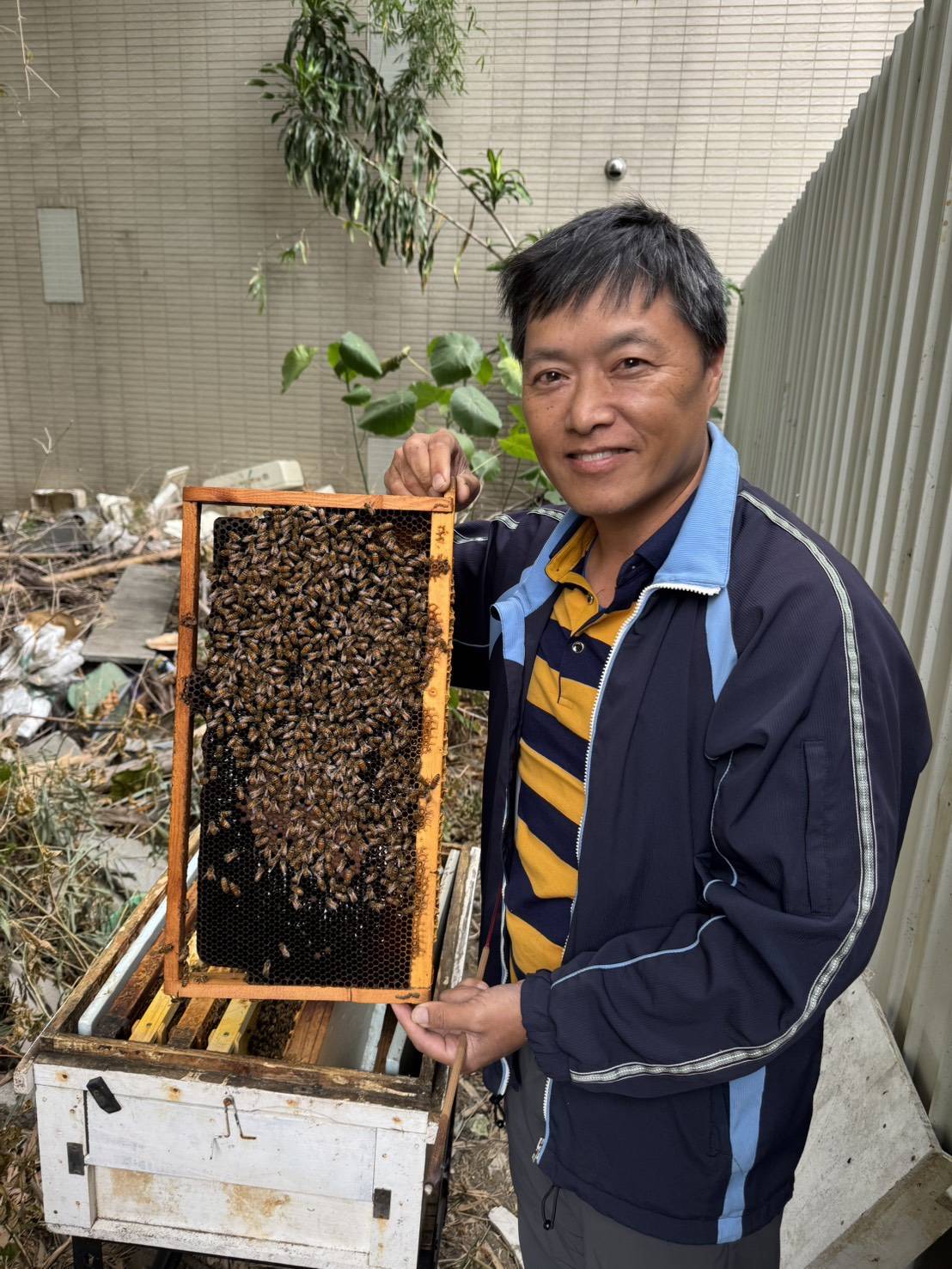 黃文達博士展示蜂巢框